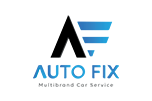 Auto Fix